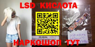 шишки Новодвинск