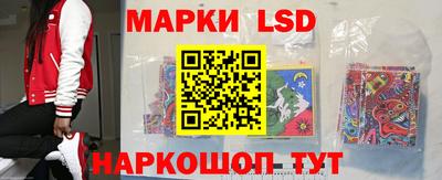 стаф Новозыбков