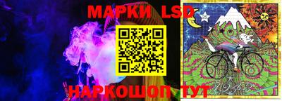 шишки Новодвинск