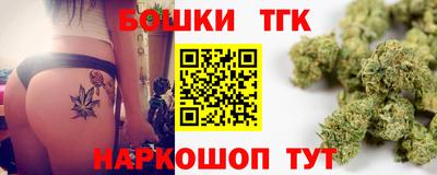 шишки Новодвинск