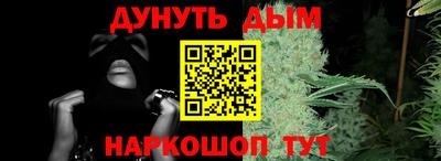 шишки Новодвинск