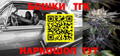 шишки Новодвинск