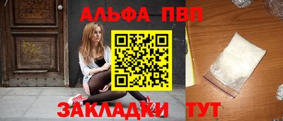 шишки Новодвинск