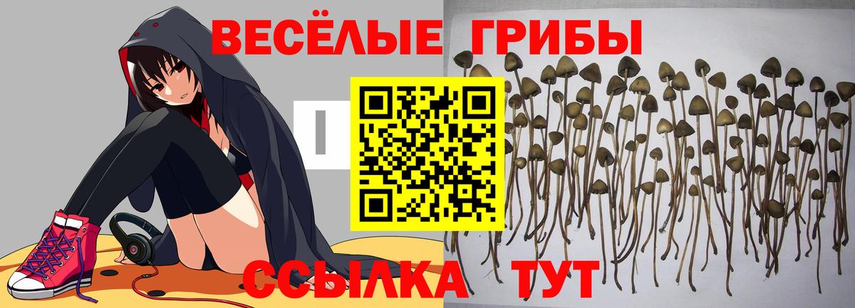 Галлюциногенные грибы MAGIC MUSHROOMS Ульяновск
